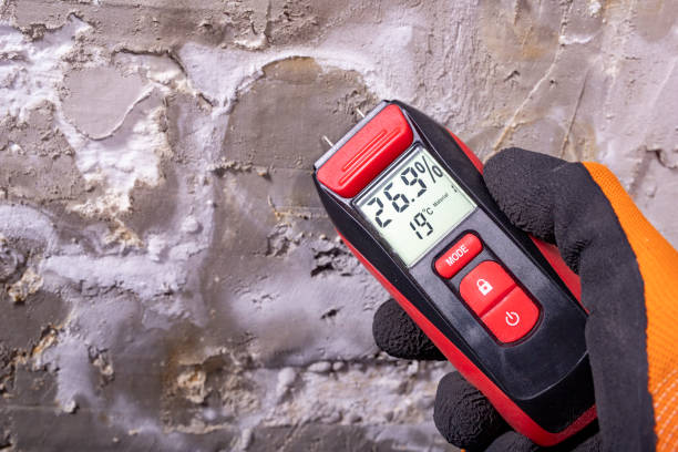 Best DIY Mold Remediation Support Services in Dolton, IL